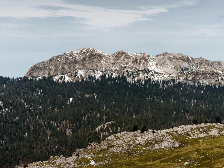 there is a horse that is grazing near a mountain