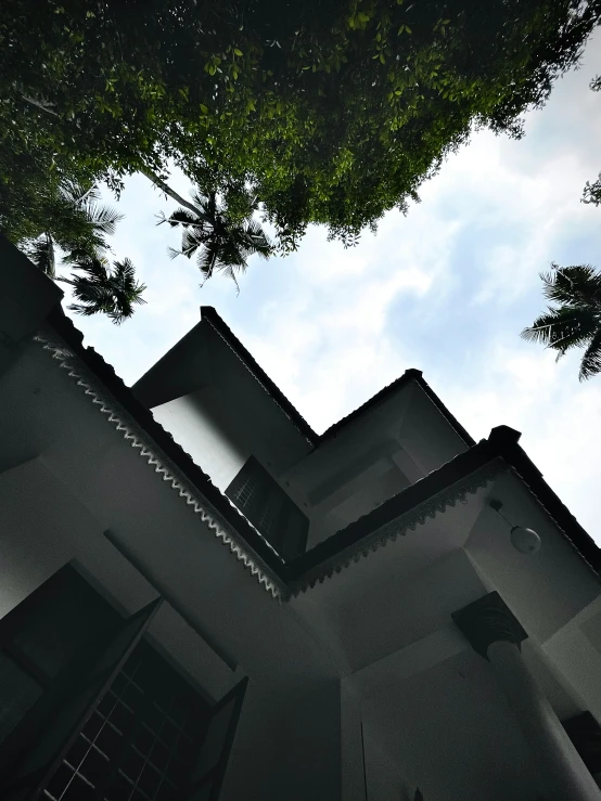 view from below, looking up at a large building with trees on each side