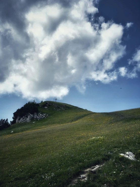 a hill that has some flowers on it