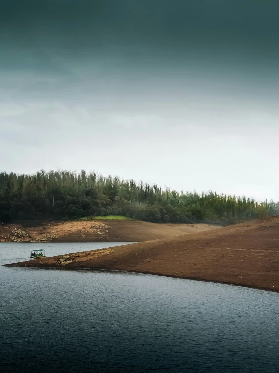 some elephants are standing near the water and looking out to the woods