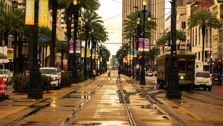 city street with traffic and pedestrians next to large palm trees