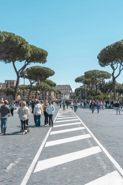 a group of people standing near trees and a line of buildings