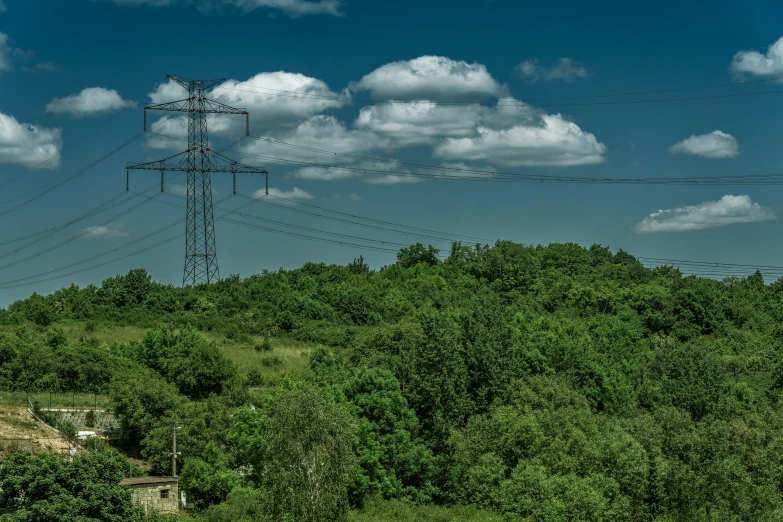 a group of trees and power lines in the background