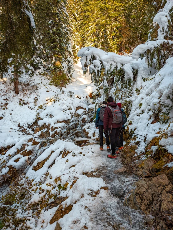 two people are walking in the snow in some trees