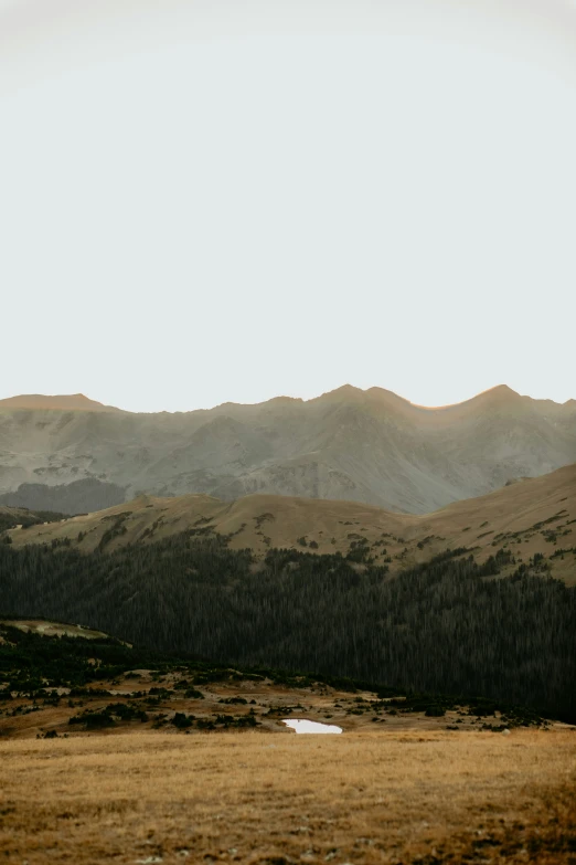 a large open field with mountains in the background