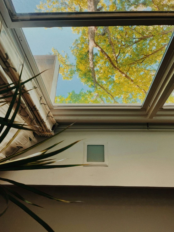 the interior of a building with large windows looking up