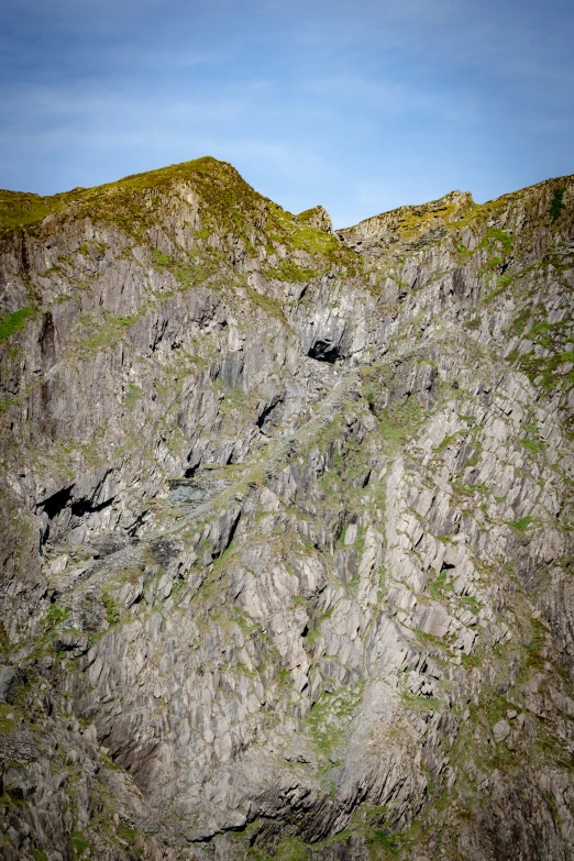 several green bushes on the side of a rocky mountain