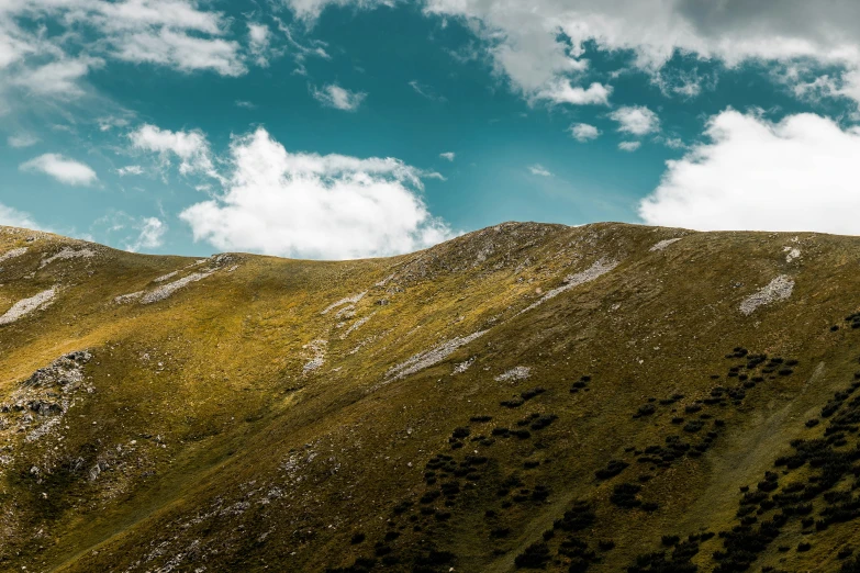 a field with trees in front of mountains