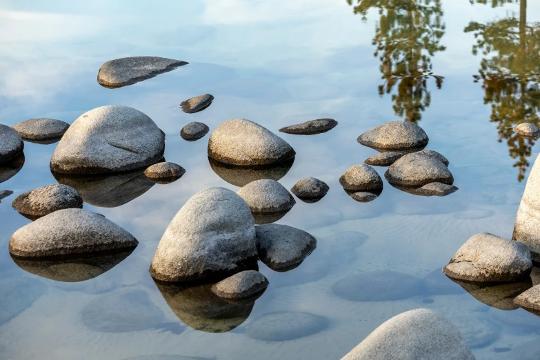 a stream is full of stones and there is a tree in the background