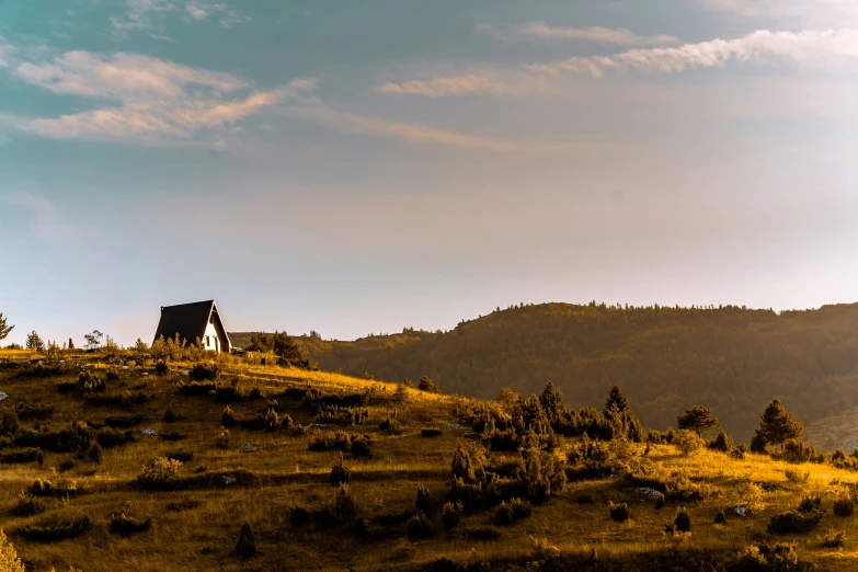 the sun shines brightly on a hill next to a forest