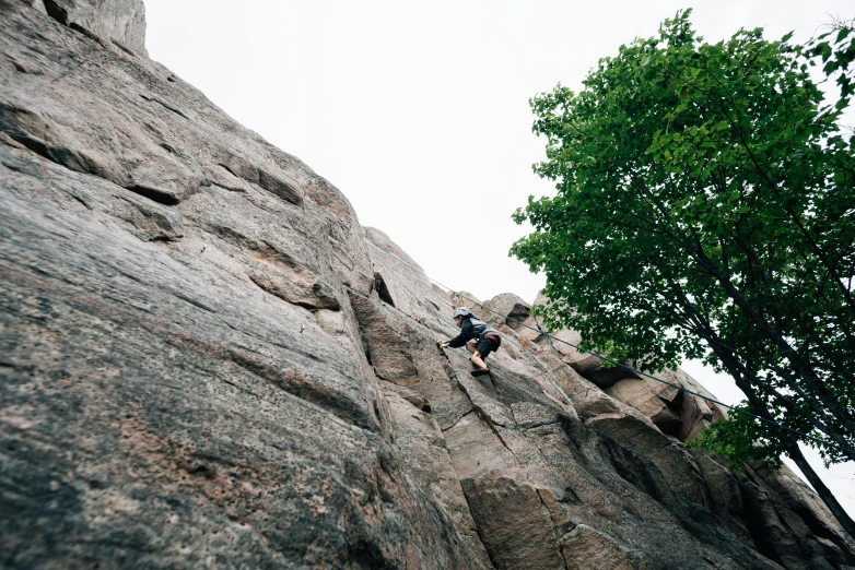 two people climbing on a rock near a tree