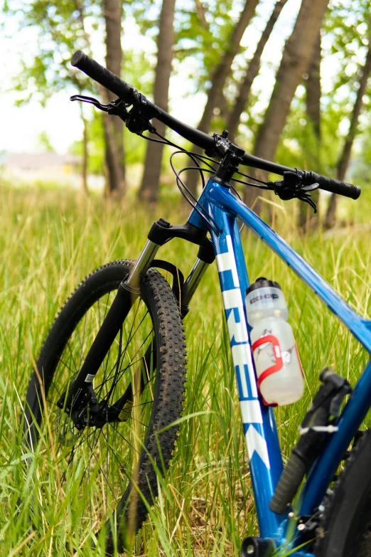 the blue bike is resting in the green grass