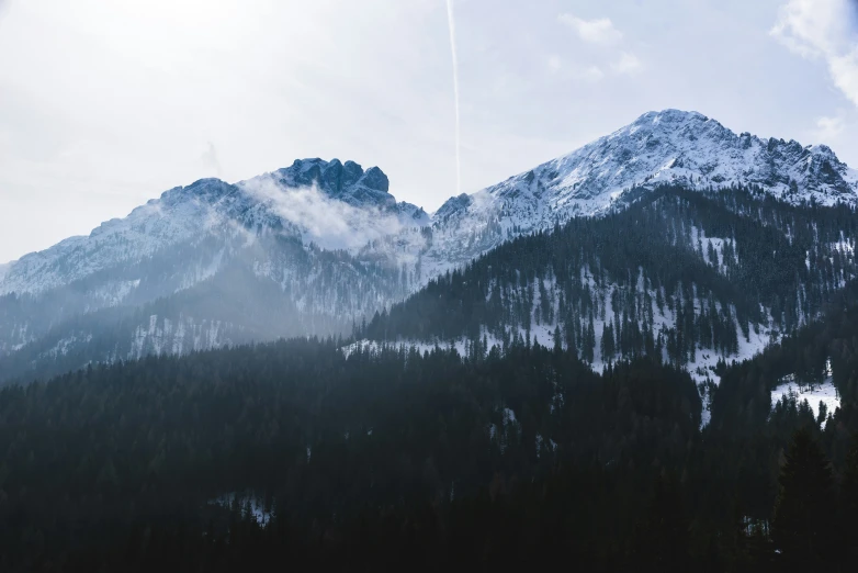 mountains covered in snow and evergreen trees