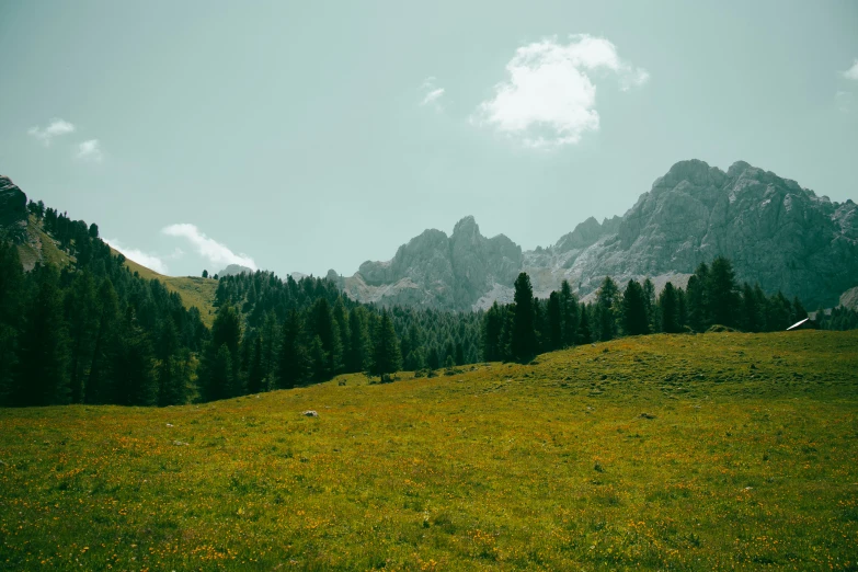 the view of the mountains near a grassy field