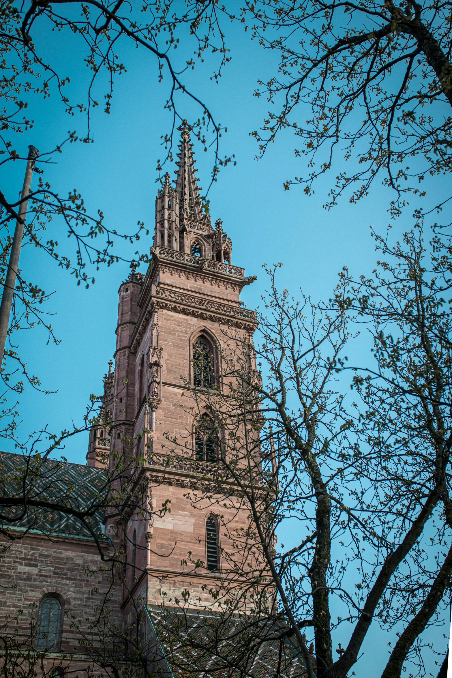 a church with a clock in it surrounded by trees