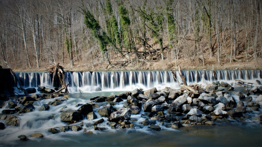 a creek flowing through a forest near a tree covered mountain