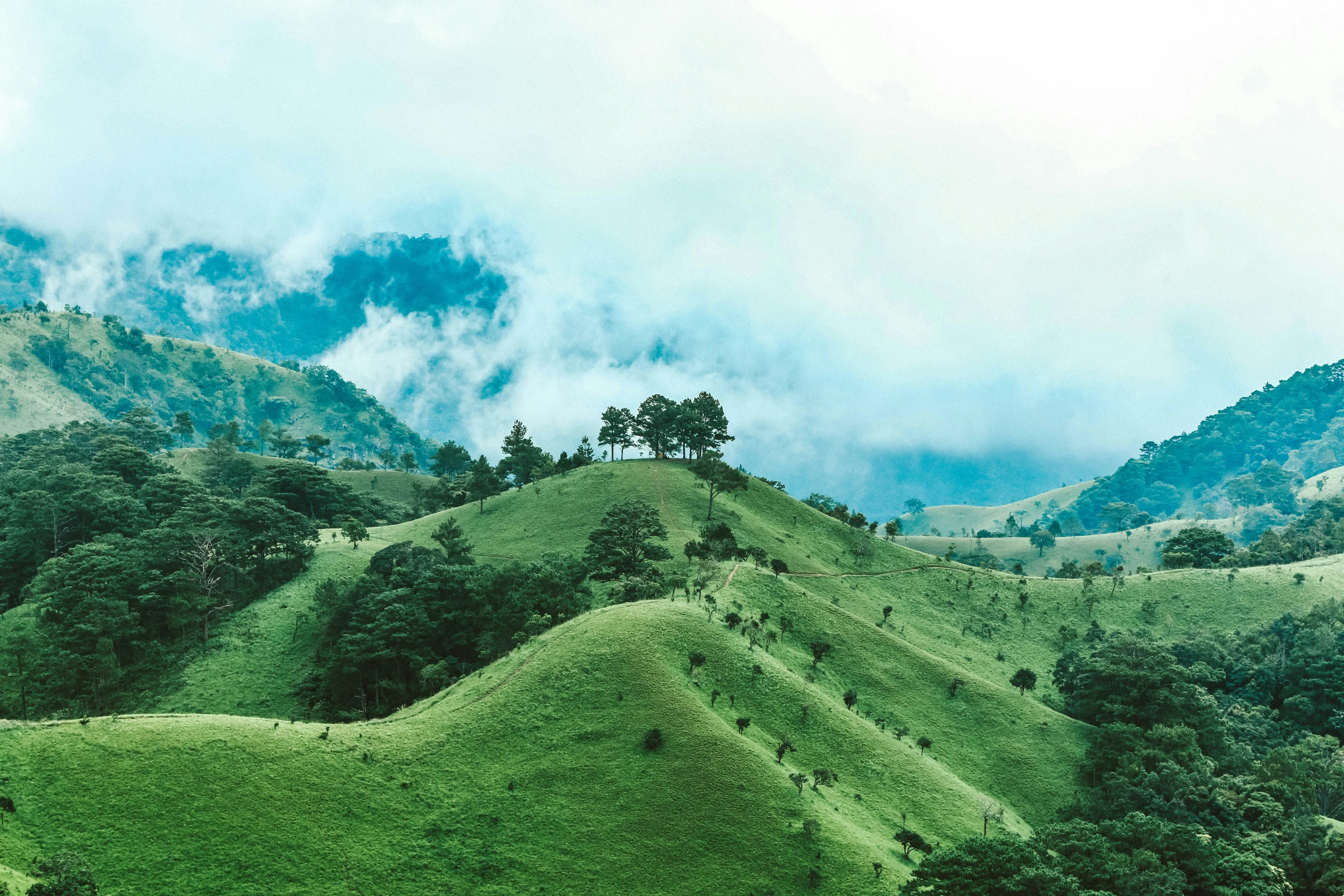 a field with some trees and mountains in the background