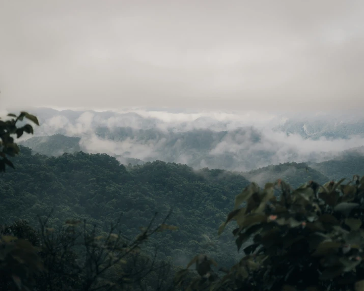 a scenic view of mountains and trees on a cloudy day