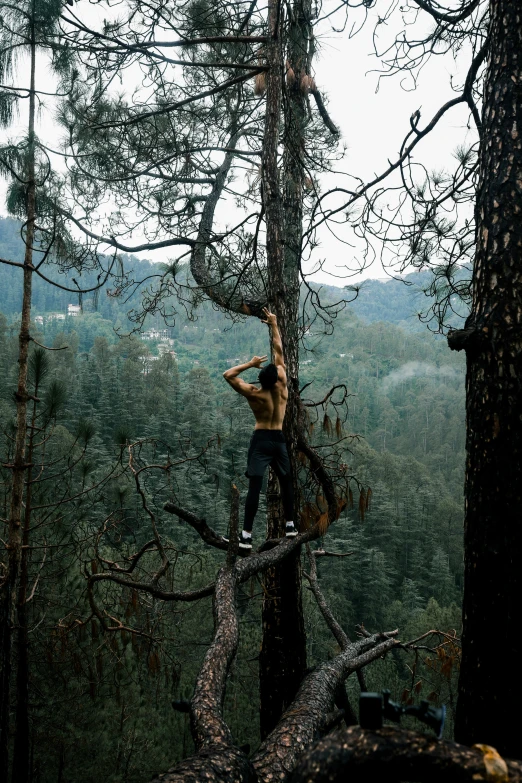 a man climbing a tree trunk on a steep rock