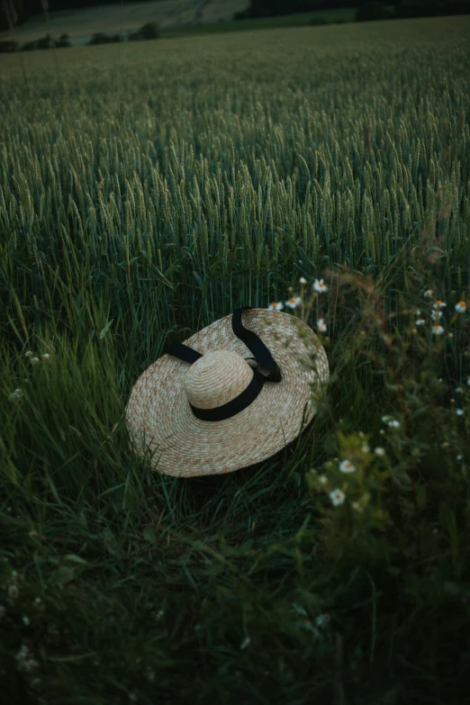 a hat is sitting in the tall grass