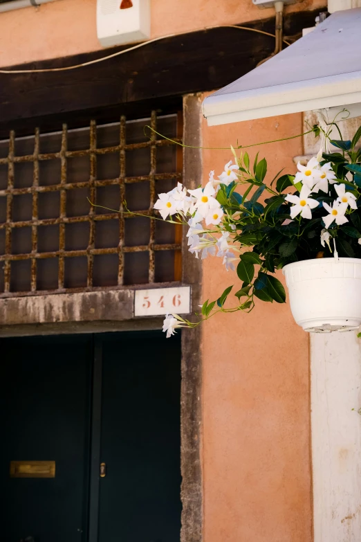 the flower pot in front of the building has flowers in it