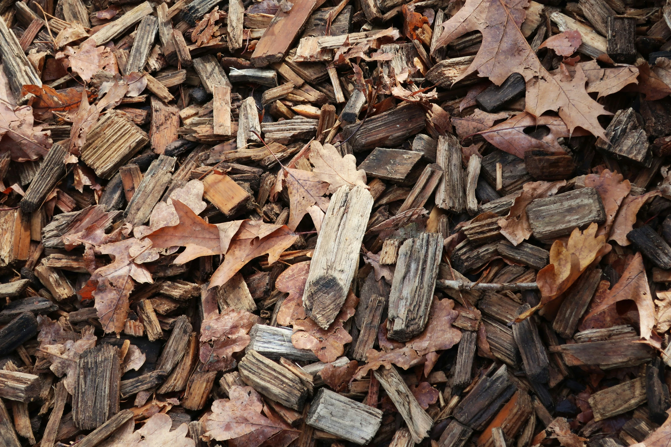 wood chips are sitting together on the ground