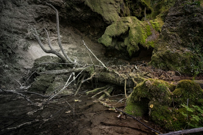 mossy and rock formations near a body of water