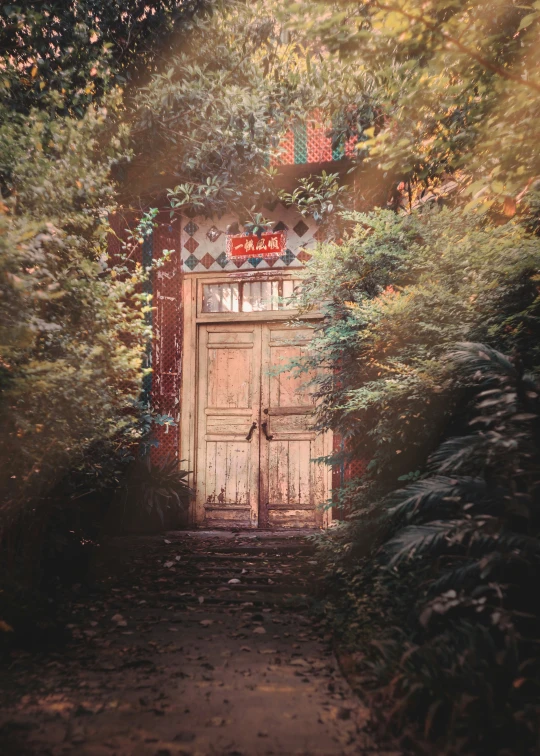 an old door through a grove of trees