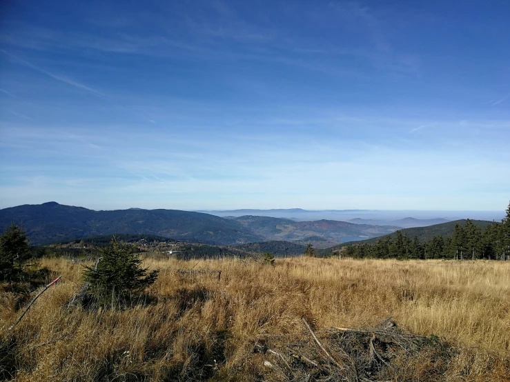 a view of mountains, trees and a field