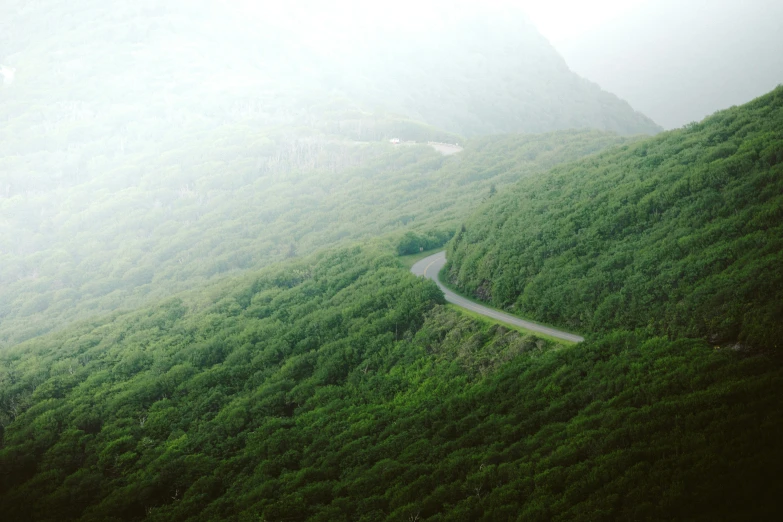 road winding along green hills in foggy weather