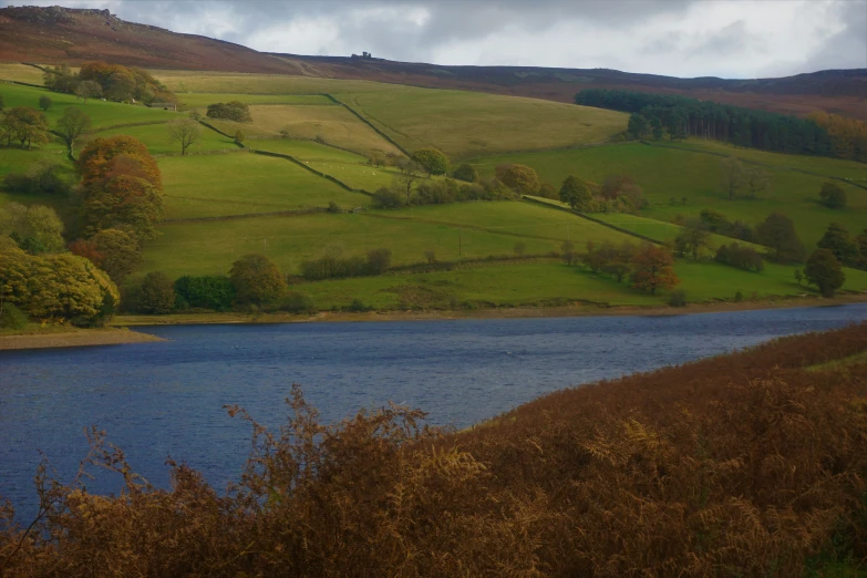 some water grass and trees and hills