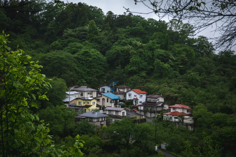 small houses on a hill surrounded by trees