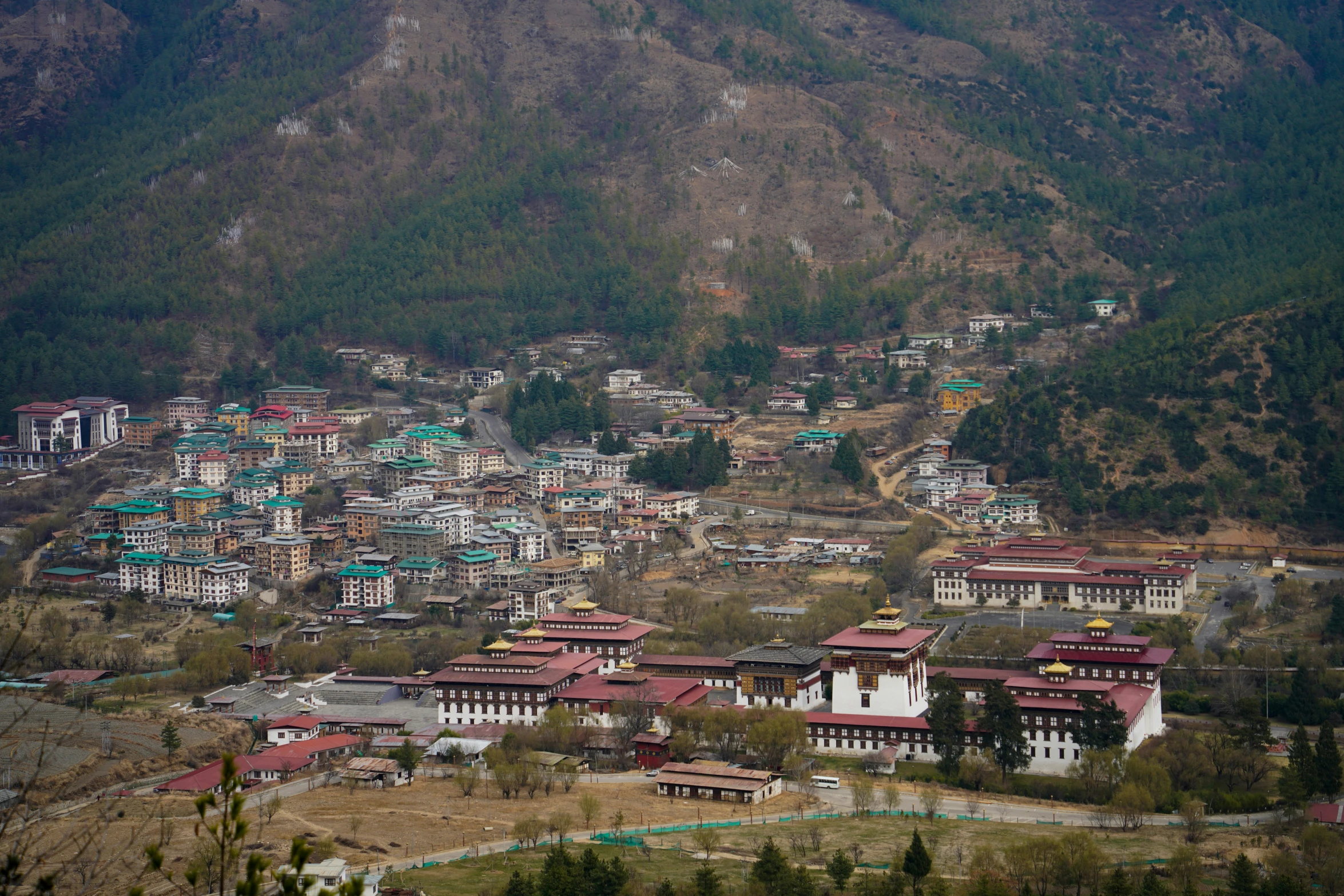 a large number of houses in a small city