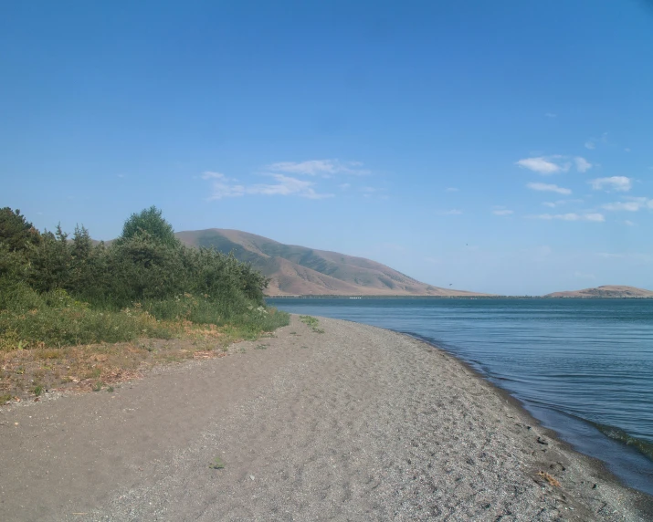 there is a large body of water near the shore