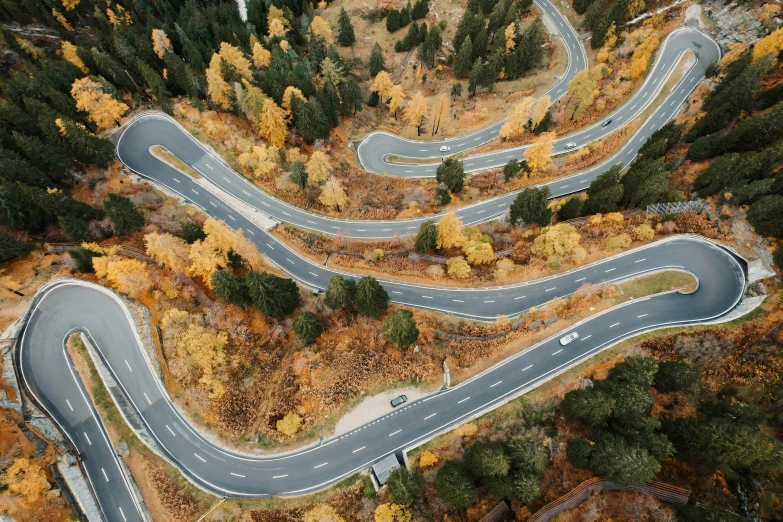 a winding road surrounded by autumn colored trees