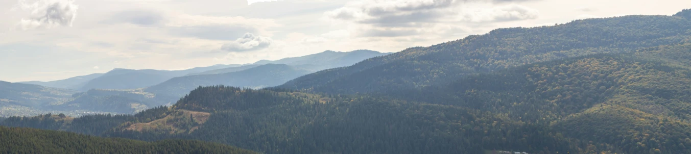 large mountains with trees in the foreground