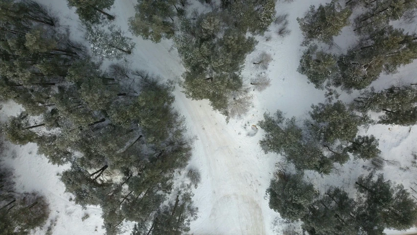 the snow covered landscape and path are looking up