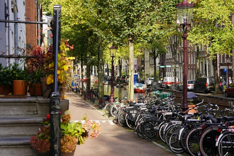 there is a lot of bikes parked on the street