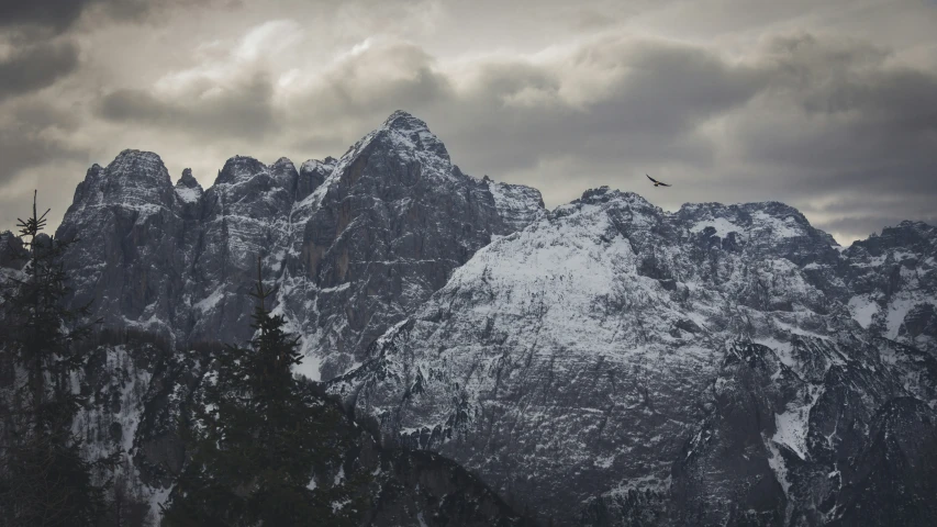 snow - capped mountains with a bird flying high in the sky