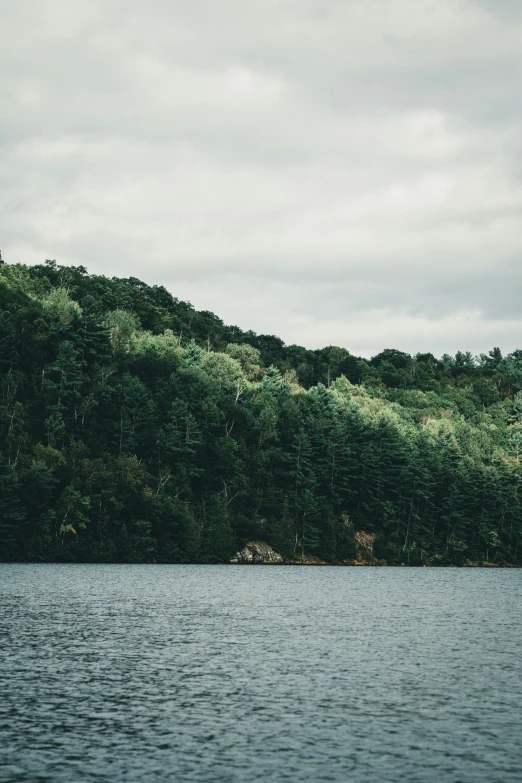 water with a mountain and trees behind it