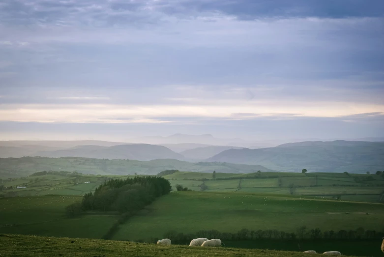 an aerial view of some grazing animals in the green hills