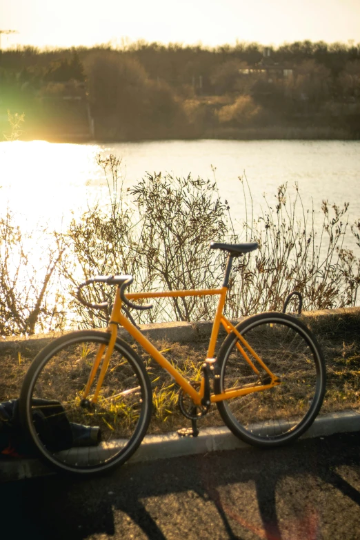 a bike parked next to the water on a sunny day