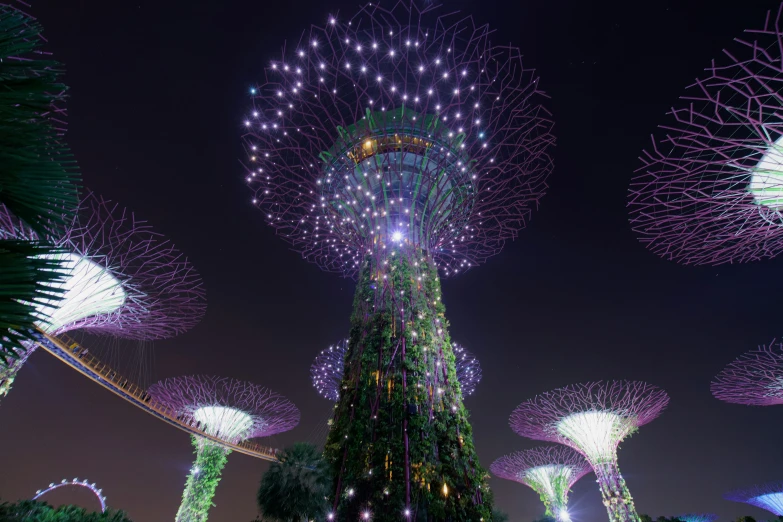 the gardens by the bay are being viewed from ground level