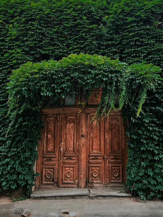 an old red door surrounded by some very beautiful green vines