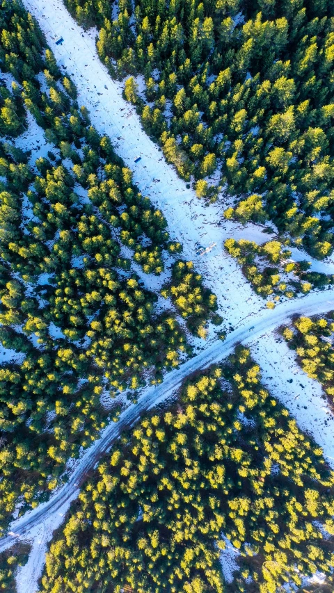 a view from above with a forest and snow covered ground