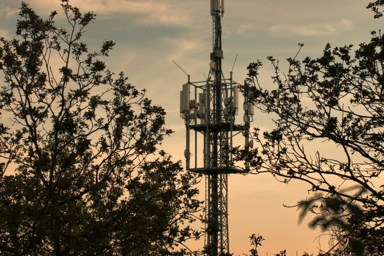 a very tall tower sitting behind a tree