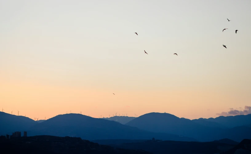 the birds are flying in formation at dusk