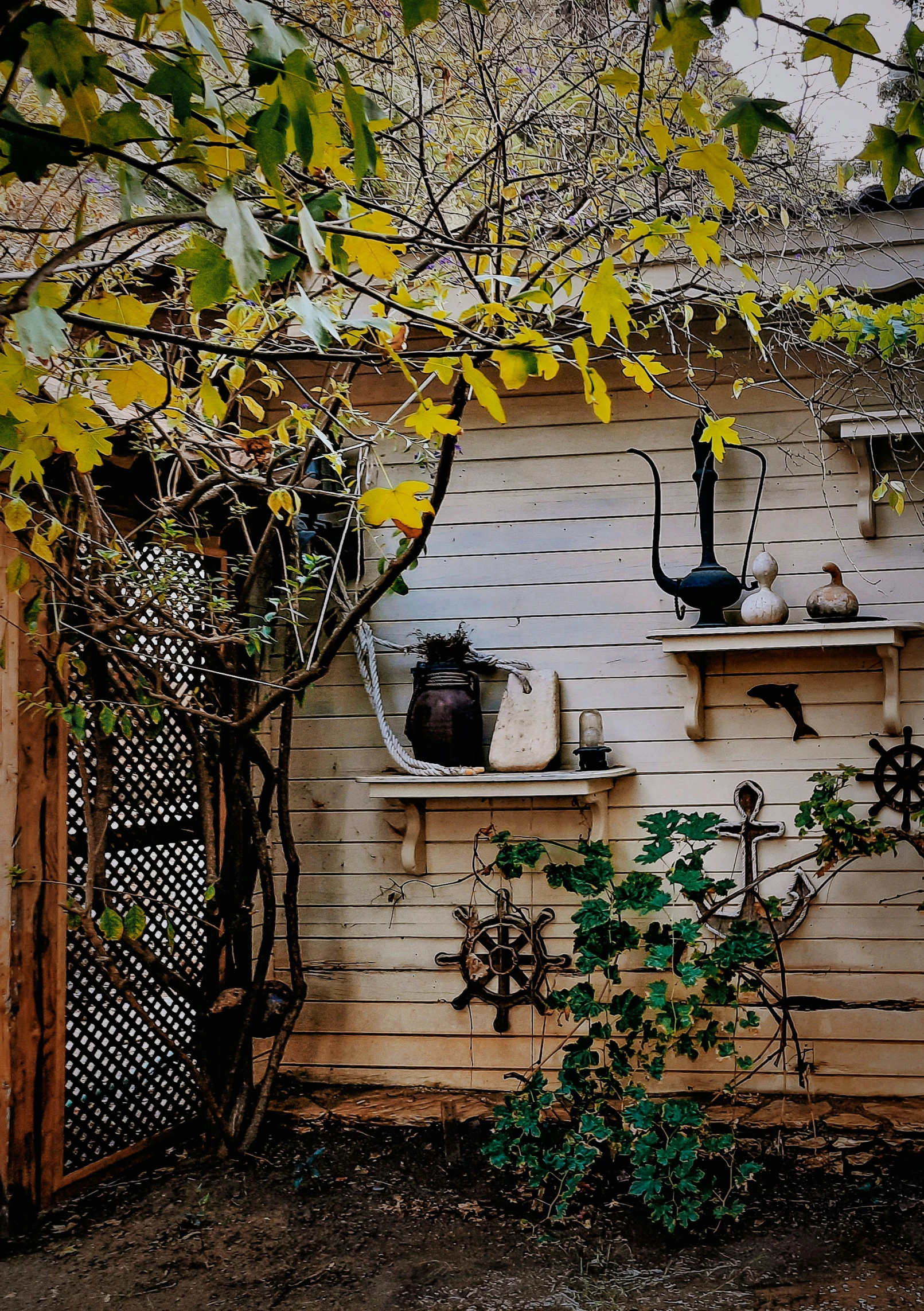 the side view of a garden shed with a bunch of plants in the back