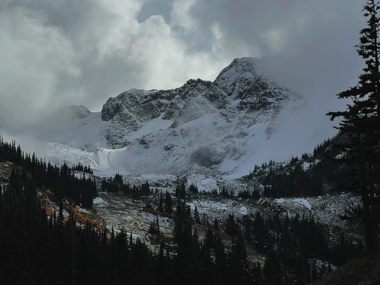 a snowy mountain and some trees on a cloudy day