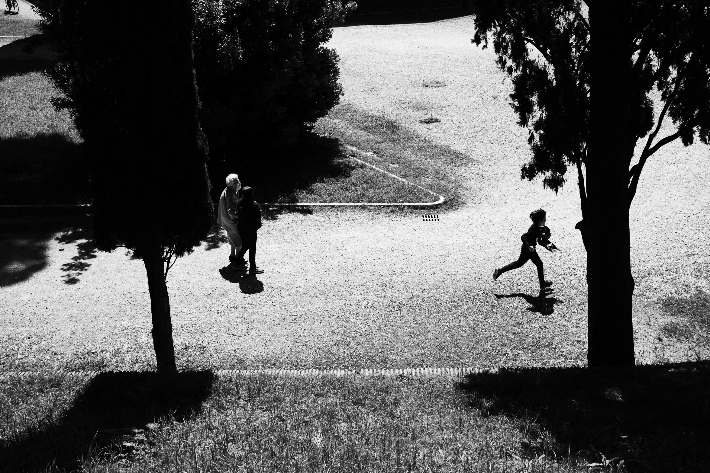 an aerial view of people walking around trees